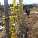 박용희농장 이미지