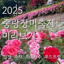 꽃빛공원 화장실 | 🌹2025 중랑장미축제 정원 :: 2024 만개 날짜, 가는 법, 초대가수, 주차장, 먹거리, 피크닉 데이트, 사진...