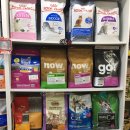 도그팡팡 이미지