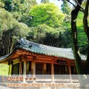 와보랑께박물관민박 | 전남 강진 여행지 총정리_25선