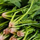 금치축산 이미지