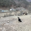 또아리하우스 | 원주 게스트하우스 또아리하우스 원주치악산 게스트하우스