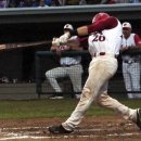 트윈스팜3 이미지