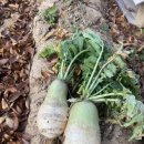 서리내농장 이미지