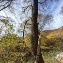 갓바위 소원성취길 이미지