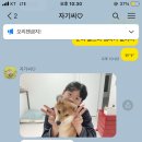 다영황 이미지