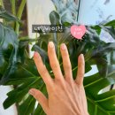 온천초등학교 | 네일바이진ㅣ온천장네일 명륜역네일 15년경력 원장님의 센스넘치는 네일 시술 솔직후기