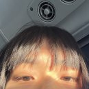 영쓰모자 | 받아들이는 거예요 그냥 들이받을 수는 없으니까