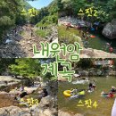 대운산 내원암 계곡 | [부산 근교 계곡] 울산 대운산 내원암 계곡: 물놀이 스팟, 가는길