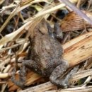 개원중학교 이미지