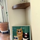 cafe lento 이미지