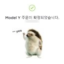 🚘 테슬라 모델Y 예약과 시승 후기