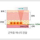 성은뷰티