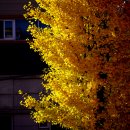 용천온누리약국 이미지