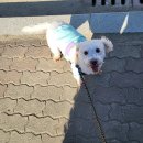 신영주주유소 이미지