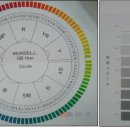 색상CODE 구성체계 이미지