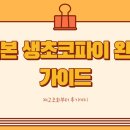 생초로 | 일본 생초코파이 재고조회 가격 칼로리 후기