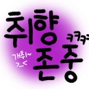 쏠안경원 이미지