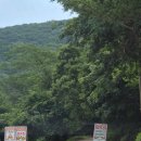 연화 | 고성 연화 계곡 살제 후기(뱀 추몰 지역)