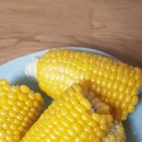 초당농장 이미지