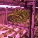 (주)붐소프트 이미지