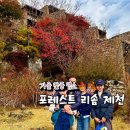 나인 | 가을 단풍 명소 가족 여행 포레스트 리솜 | 수영장 해브나인 스파 후기 및 할인 정보