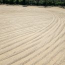 신현중학교 이미지