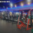 뽀빠이 올리브 헬스클럽 이미지