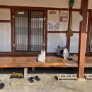 올스테이인 이미지