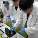 설악고등학교 | PCR과 전기영동을 직접 해보고, 프라이머를 설계해보자! [PCR 프라이머 /25.5.28 가평군 설악고등학교]