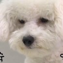 다