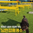 남한강휴게소 | 남한강휴게소 반려견 파크 애견동반 후기 양평 가볼 만한 곳