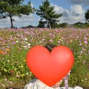 제주의꿈 | 꿈같았던 러베이 제주 웨딩스냅 촬영 일기 (후기)