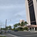 주식회사 돌핀수영 | I♥️GUAM 2일차 : 괌플레이 돌핀크루즈 후기 / 비치인쉬림프 2호점 / 로얄오키드 호텔