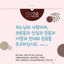 🏰 연중 제26주일 ( 세계 이주민과 난민의 날 ) 이미지