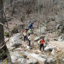 청룡뿌리휴게소 | 제천 금수산(10. 4.24) 산림청/인기 백대명산 제60위