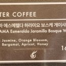 커피파나마