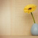 무인도에서 4년을 버티게 한 단 하나의 습관 이미지