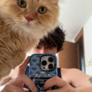 바른시루 이미지