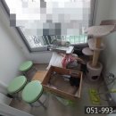 부평부백자연애아파트 이미지