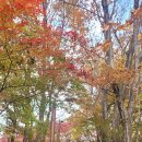 숲속어린이작은도서관 이미지