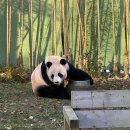 뽑고 더블로 가 | 2025.11.14 | 해프에 에버랜드 뽕 뽑고 오기 (수능 다음날 에버랜드 후기)