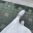 희망체육관 | [김재중] 25 김재중 아시아투어 뷰티인카오스 콘서트 첫콘 후기 장충체육관 8구역 5열 시야