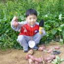 준서농장 이미지