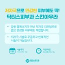 스킨닥터스 이미지