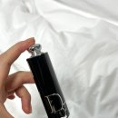 463 | [내돈내산] 디올, 어딕트 립스틱 463 리본 솔직 사용후기