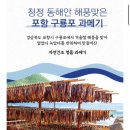 참진쭈꾸미야채곱창 | 포항 구룡포 참진상회 과메기 택배배송 손질 과메기, 야채세트 후기