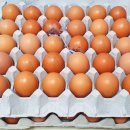 마이산진안촌 - 전주시 덕진구 모래내6길 26-9 | 마이산진안촌
