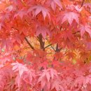 개울건너 이미지