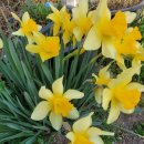 관상보건진료소 이미지